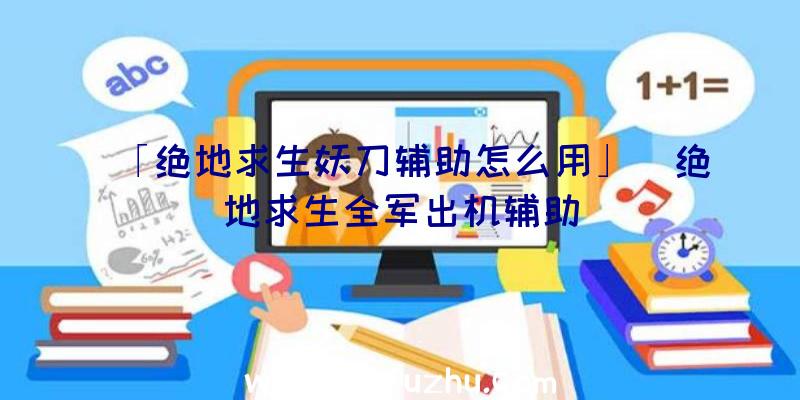 「绝地求生妖刀辅助怎么用」|绝地求生全军出机辅助